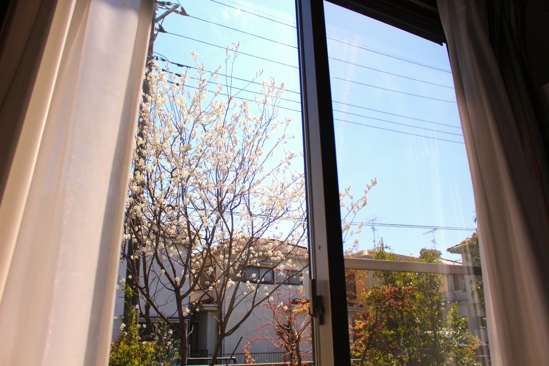 窓クリーニング