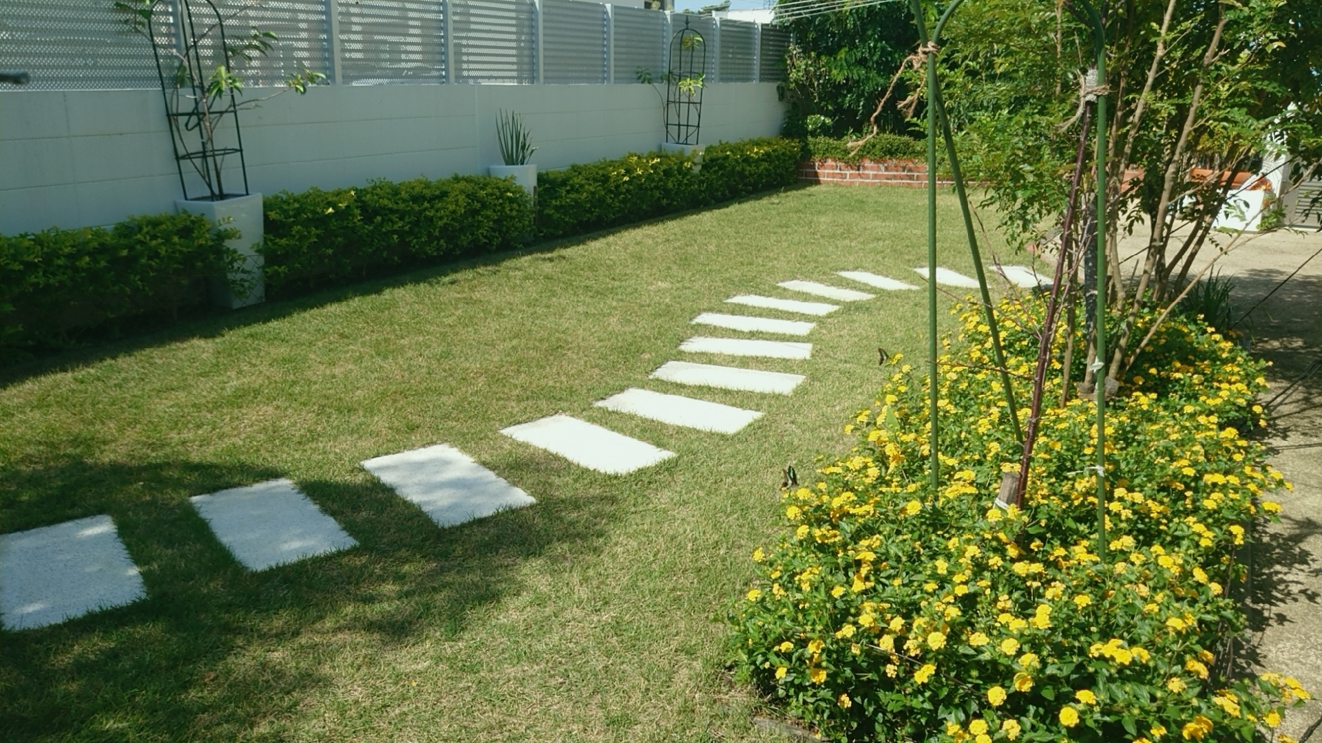 お庭の草抜き・除草サービス