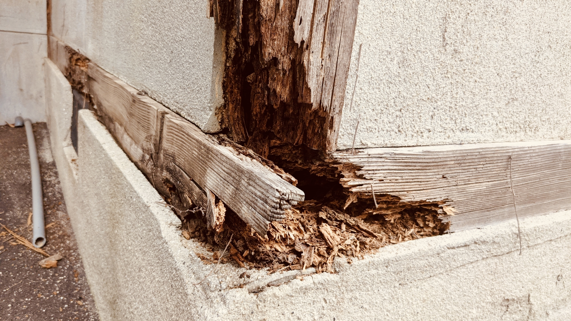 シロアリ駆除・防蟻