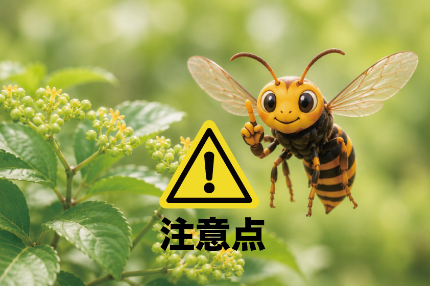 スズメバチとヤブガラシ