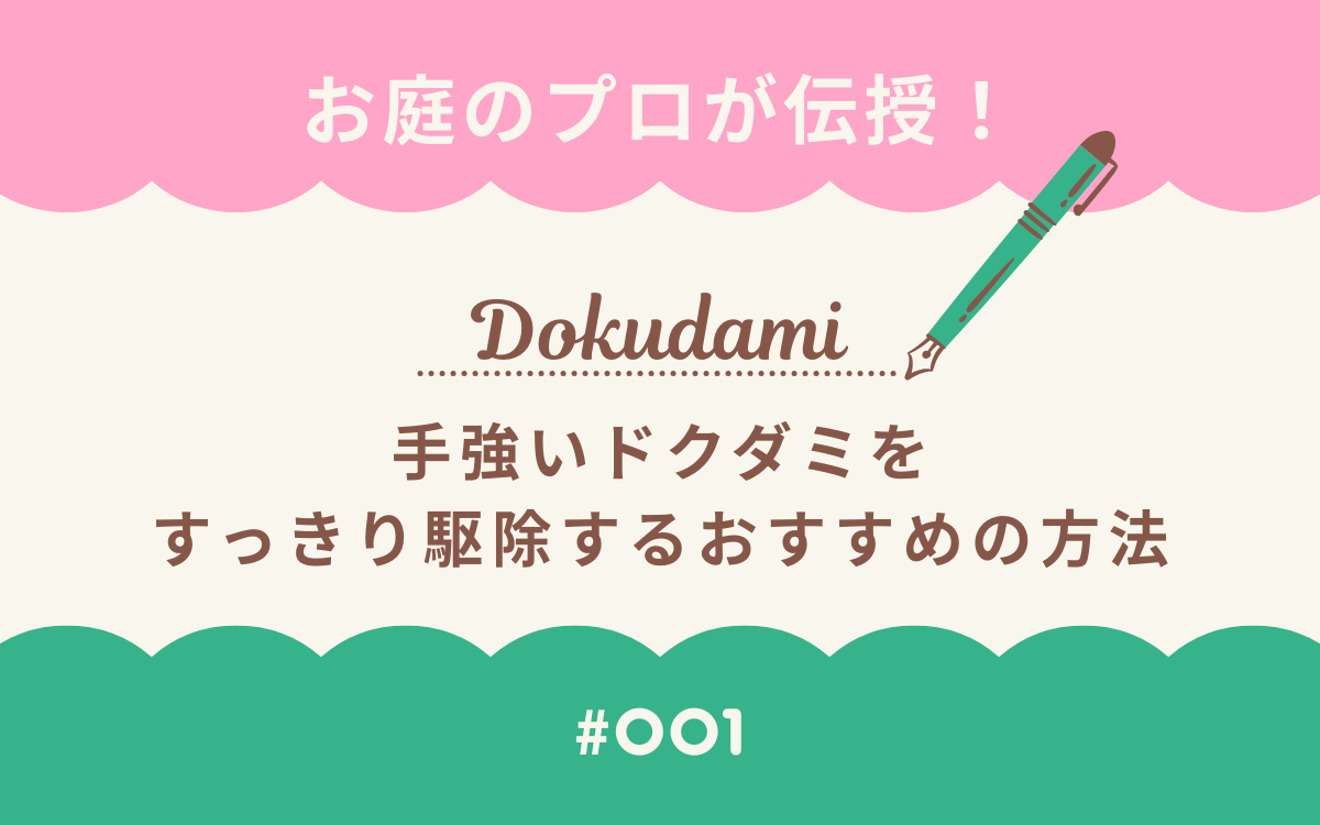 ドクダミをすっきり駆除する方法