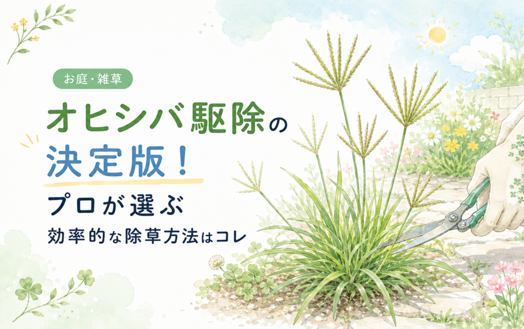 オヒシバ駆除の決定版！プロが選ぶ効率的な除草方法はコレ