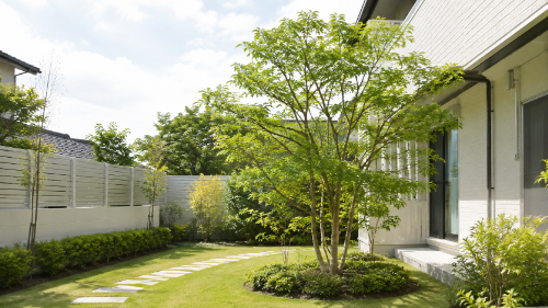 枝切りで整えられた庭木と住宅のお庭