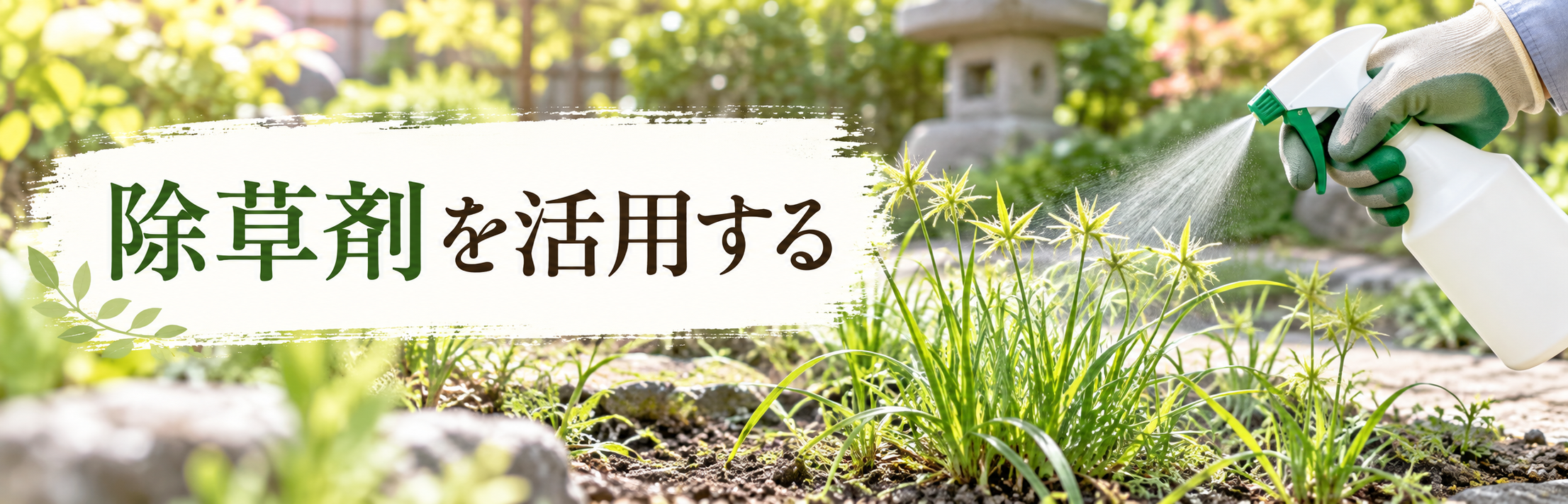 ハマスゲに除草剤を使用する様子