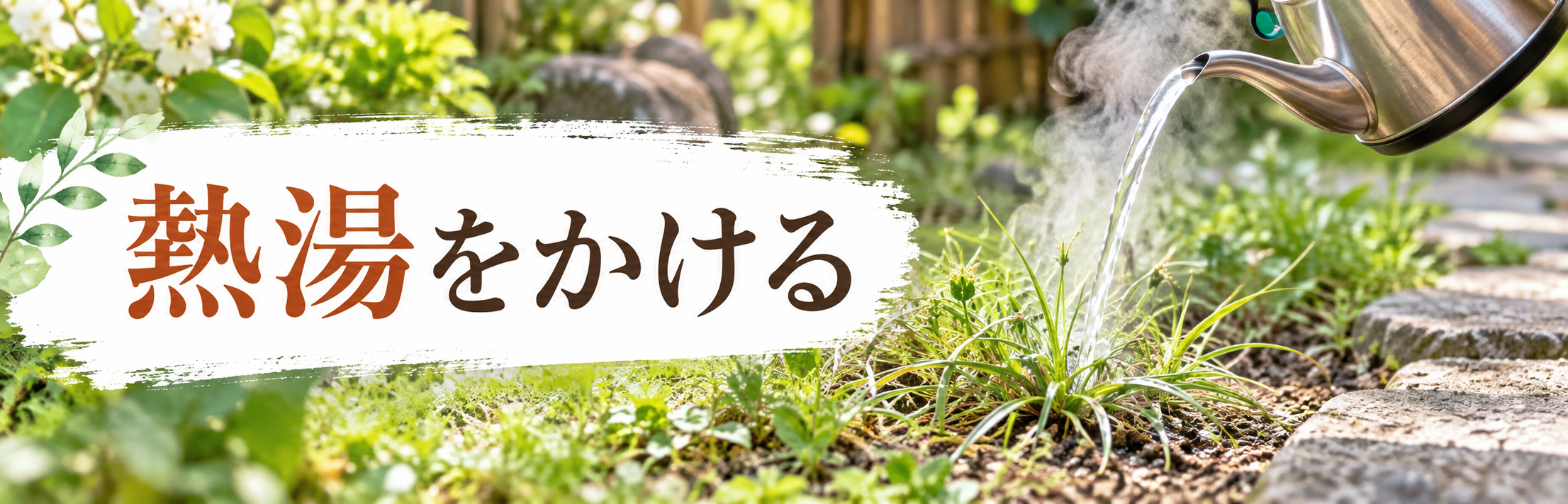 ハマスゲに熱湯をかける様子