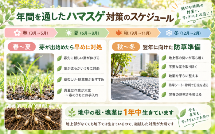 春夏から秋冬までのハマスゲ対策スケジュール